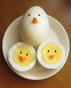 Eggs that look like chicks