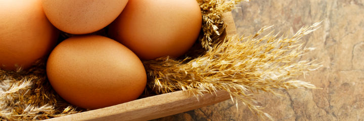 Basket of fresh eggs
