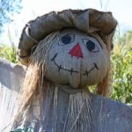 cute scarecrow