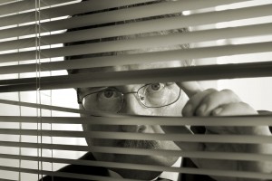spy snooping blinds